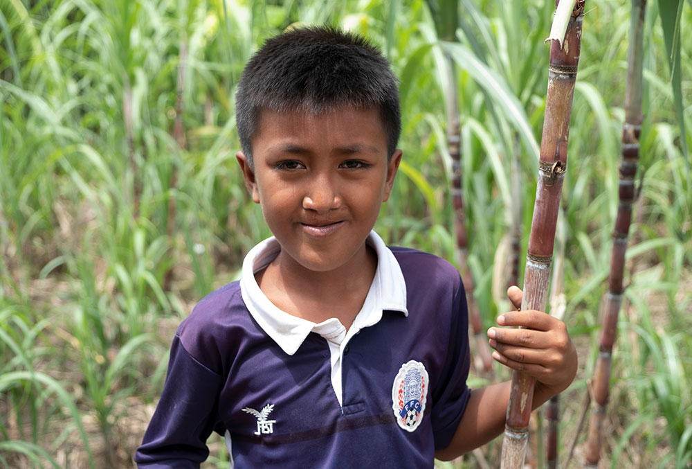 Sokim smiling in the bamboo after his free cleft surgery