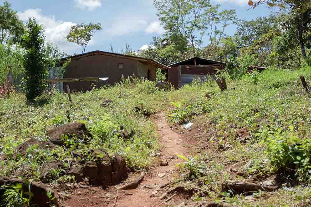 Dirt road leading to Fidel's house