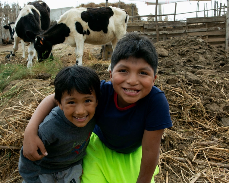 Jhon Bruce Lee smiling with his friend in front of two cows