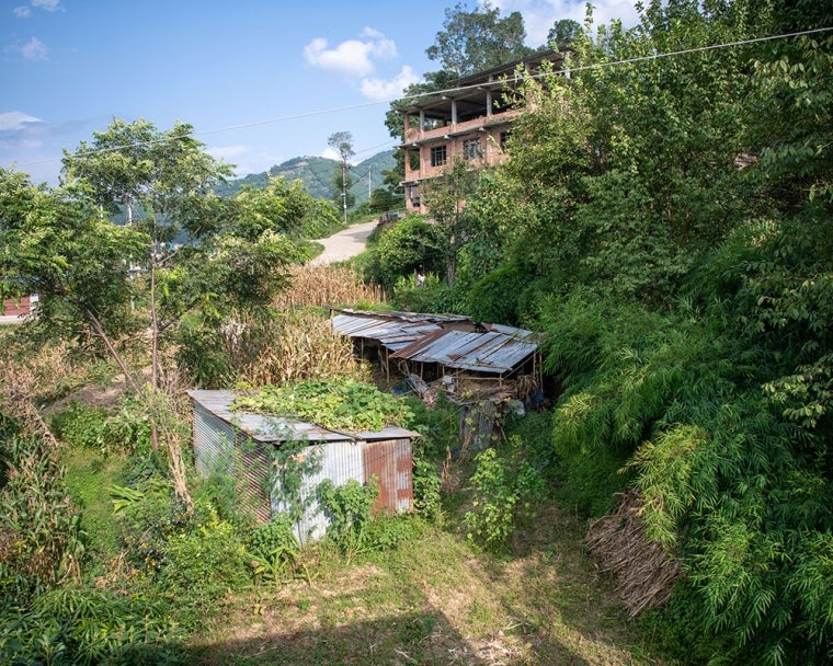 Houses on a hillside