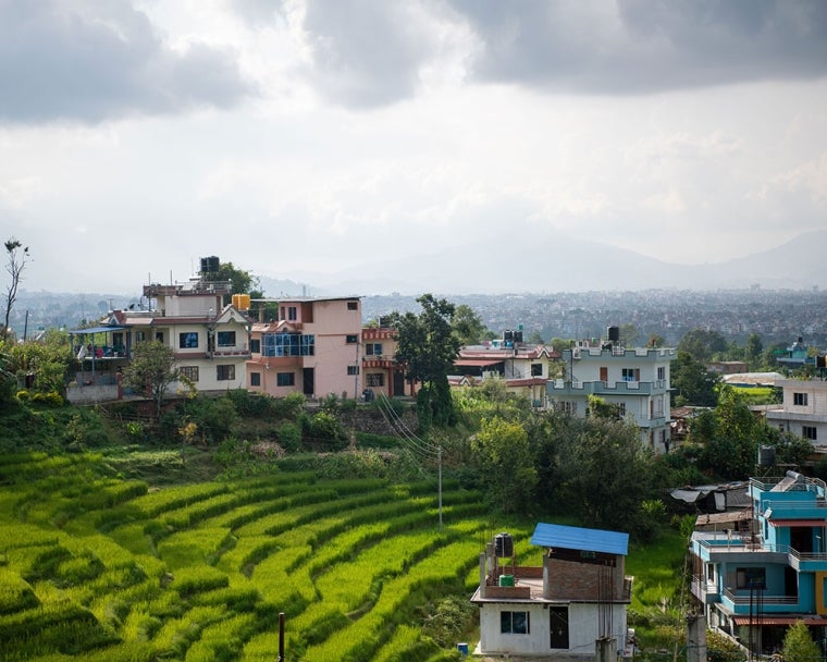 A rice paddy